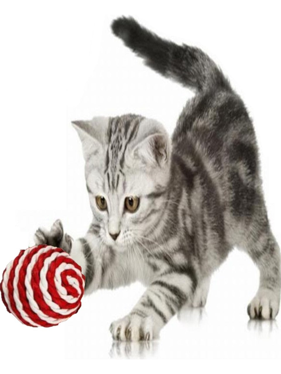 Tineke Ip Sarma Renkli Kedi Oyun Topu 5 cm ( 1 Adet ) Kedi Oyuncağı