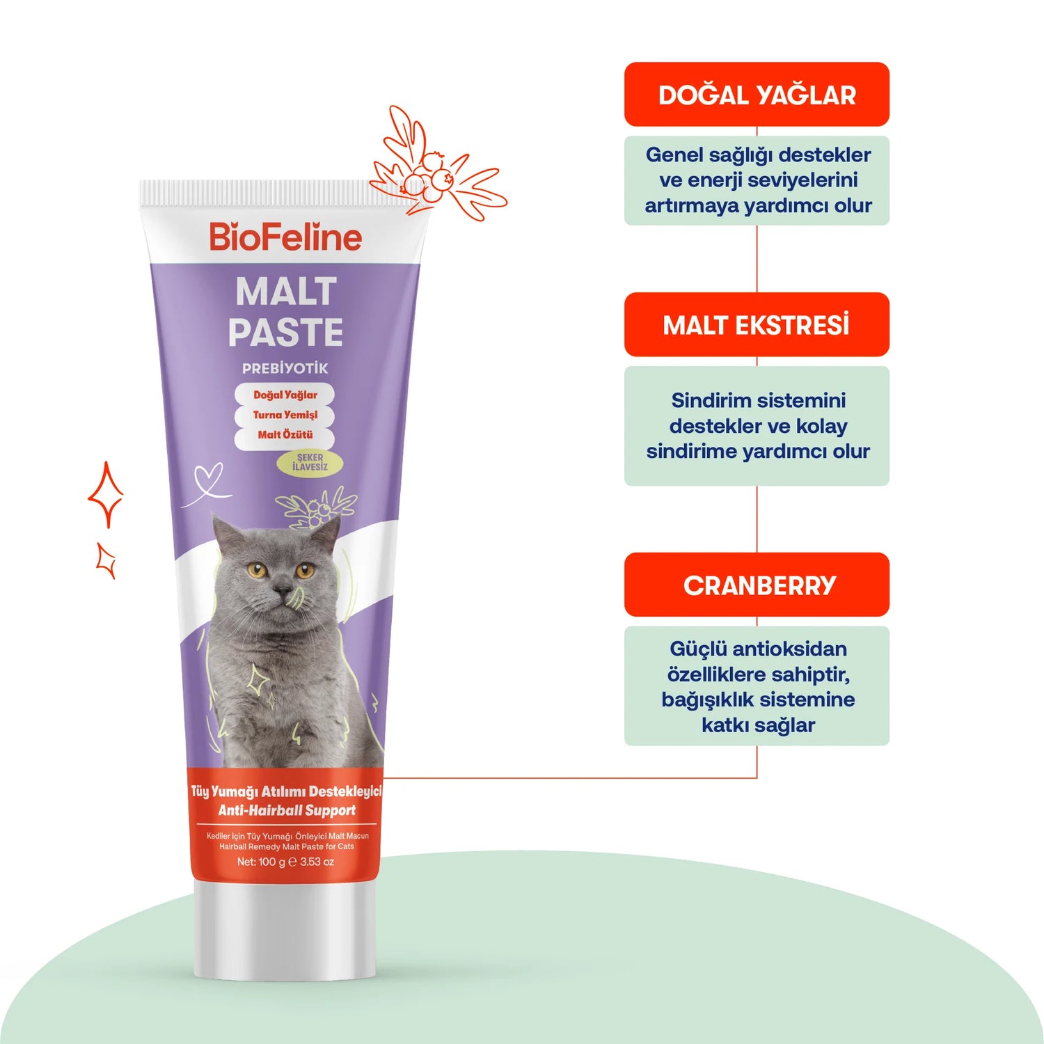 Biofeline Kediler İçin Tüy Yumağı Önleyici Malt Macunu | Anti-Hairball Doğal Destek | 100g