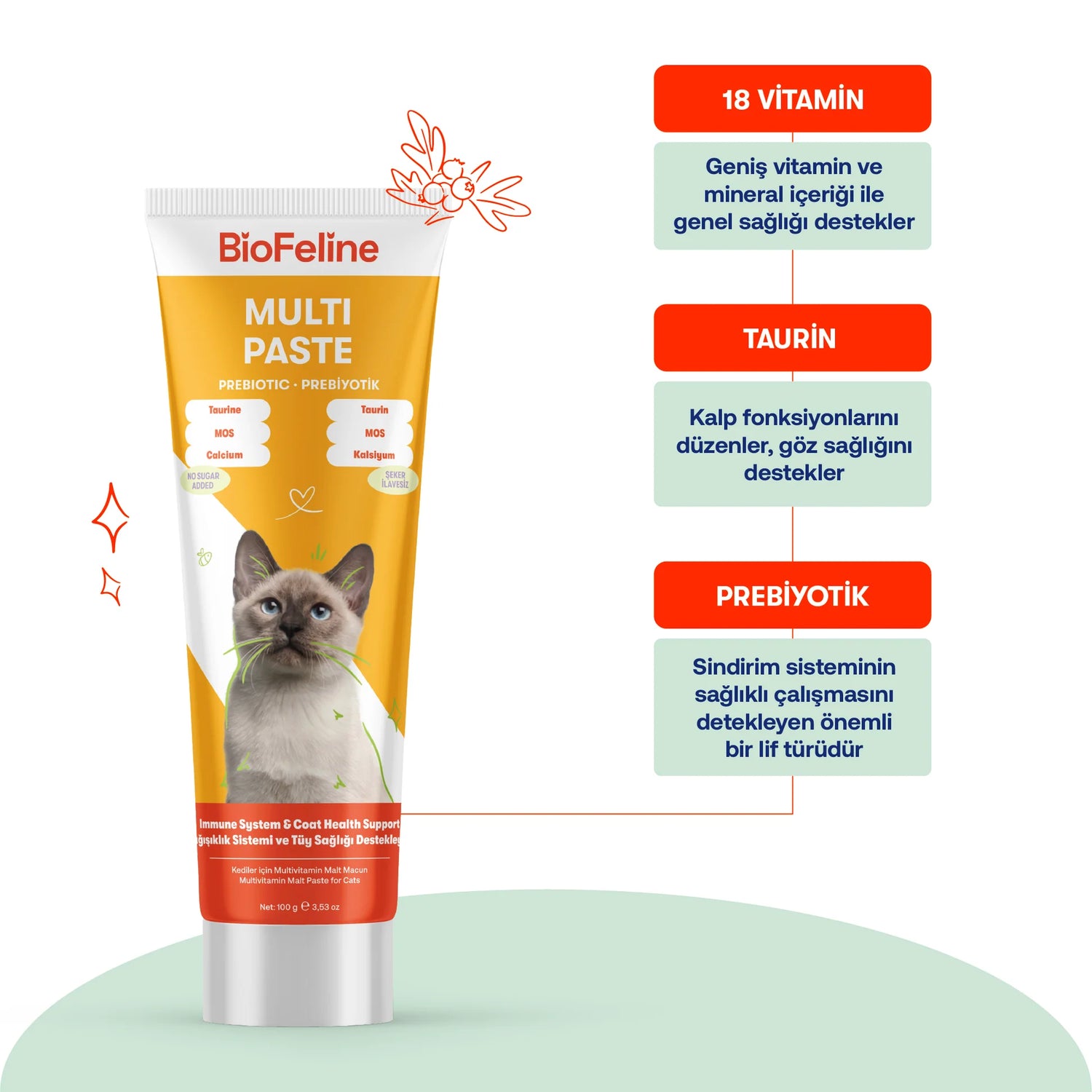 Biofeline Kediler İçin Multivitamin Macunu | Bağışıklık Güçlendirici & Tüy Yumağı Önleyici | 100g