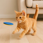 Disk Atan Oyuncak Tabanca