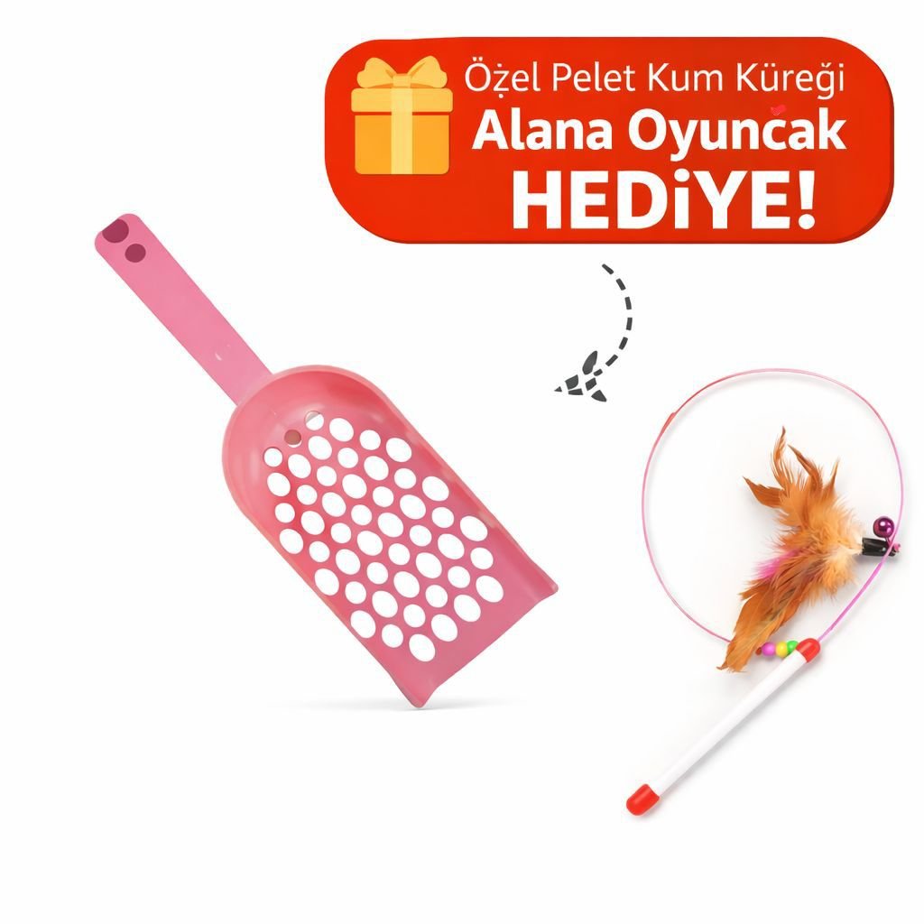 Kedi Oyun Seti 2 Ürün Paketi